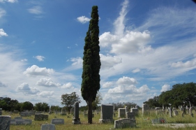 Cemetery 009